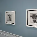 Hotel Ommaroo Saint Helier