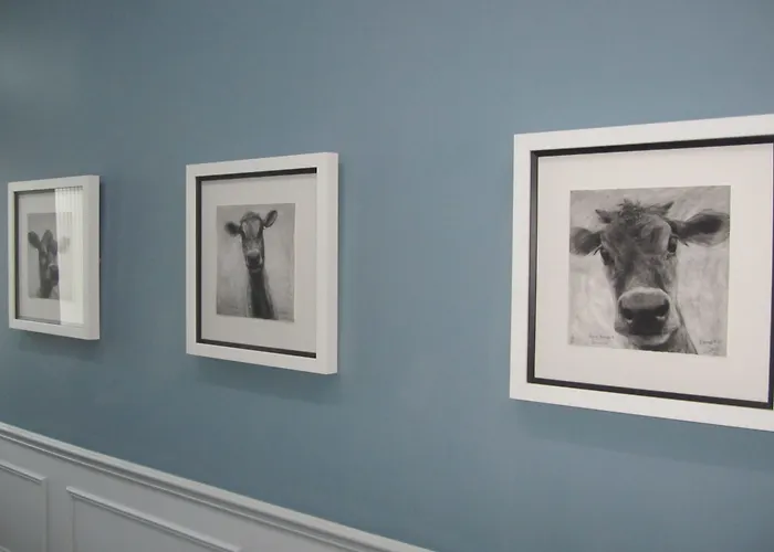 Hotel Ommaroo Saint Helier Jersey